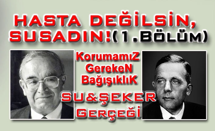 HEMEN ŞİMDİ, &nbsp;